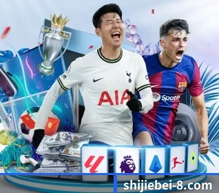 世界杯指定平台的方向(WorldCupbetting)